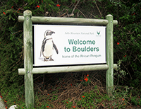 Boulders Beach Simons Town